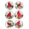 Aimants, ensemble de 6, avec cardinaux rouges