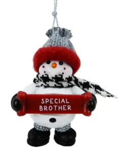 Bonhomme de neige avec bannière, message, "Frère spécial", ornement, Special Brother