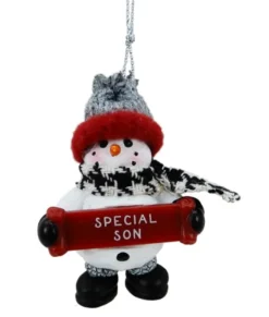 Bonhomme de neige avec bannière, message, "Spécial fils", ornement, Special Son