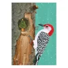 1 Card, Woodpecker