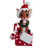 Ornement, Rudolph avec cadeau de Noel
