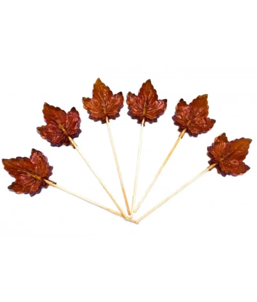 Sucon Érable de North Hatley (6 pièces)